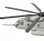 Click to set as main image above.