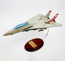 F-14 Tomcat 1/48 Sundowners