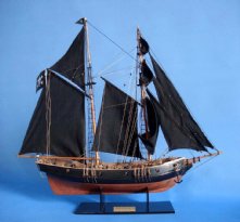 Black Prince Limited 24