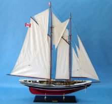 Bluenose Limited 50